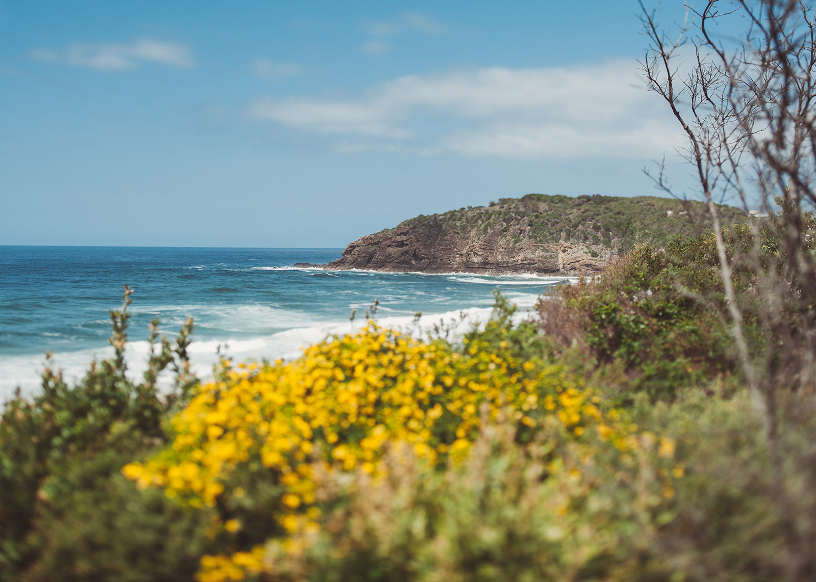 wedding photography blueys beach